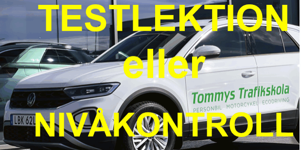 Testlektion eller Nivåkontroll